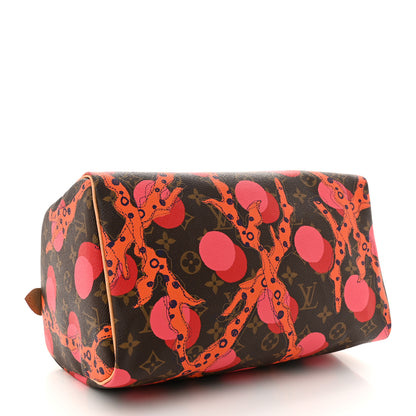 Louis Vuitton Monogram Ramages Speedy 30 Grenade 4 of 10