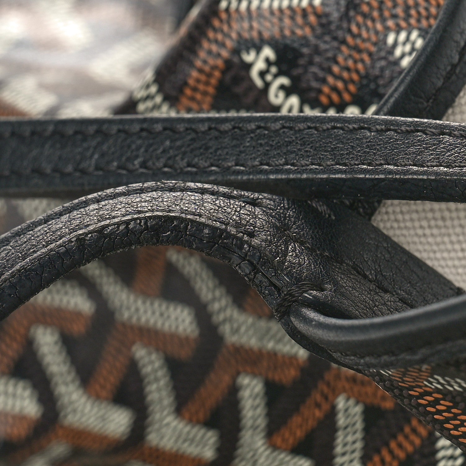 Goyard Goyardine Saint Louis PM Black 11 of 12