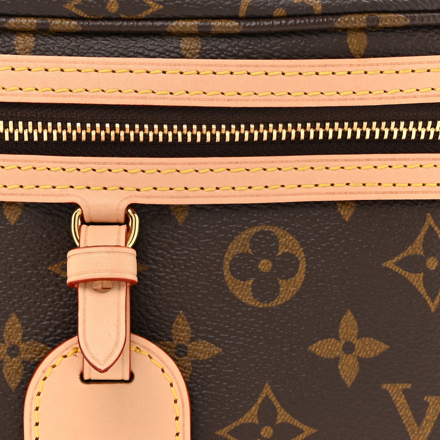 Monogram High Rise Bumbag