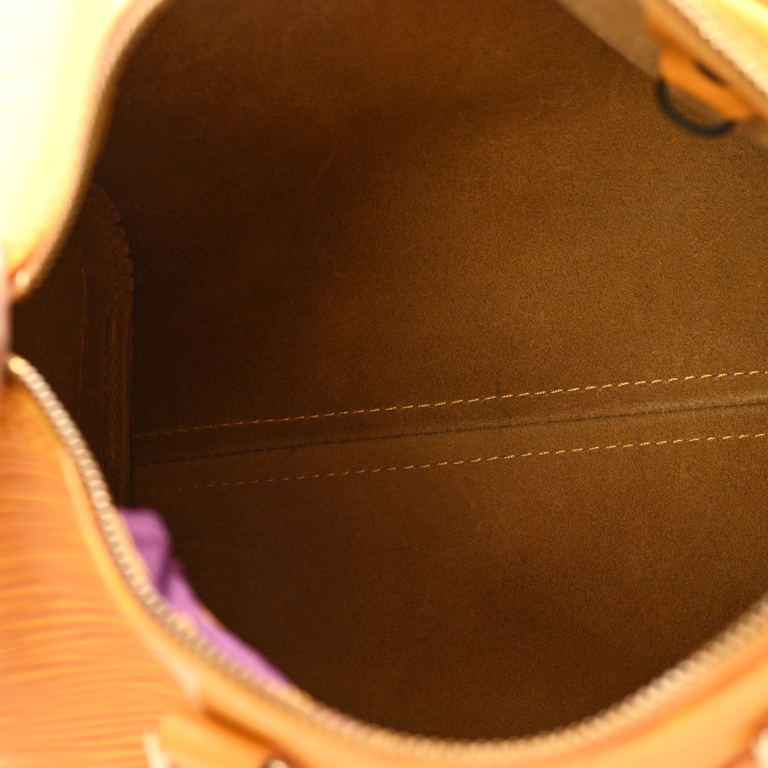 Louis Vuitton Epi Speedy 25 Tassil 5 of 11
