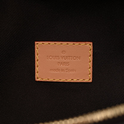 Louis Vuitton X TYLER THE CREATOR Monogram Craggy Rush Bumbag 6 of 9