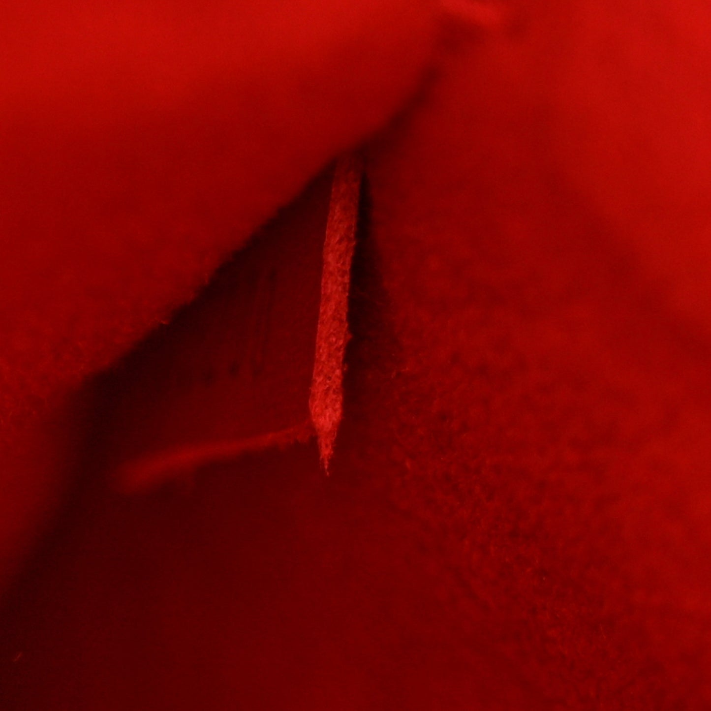 Monogram Neonoe MM Coquelicot