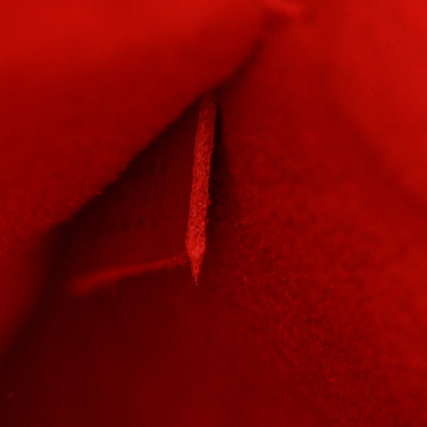 Louis Vuitton Monogram Neonoe MM Coquelicot 8 of 13