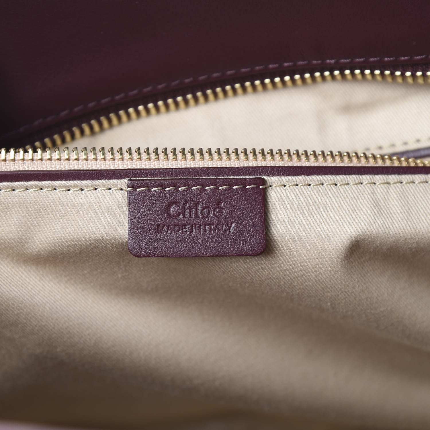 Chloe Smooth Calfskin Embossed Tao Zipped Tote Burnt Brown 5 of 10