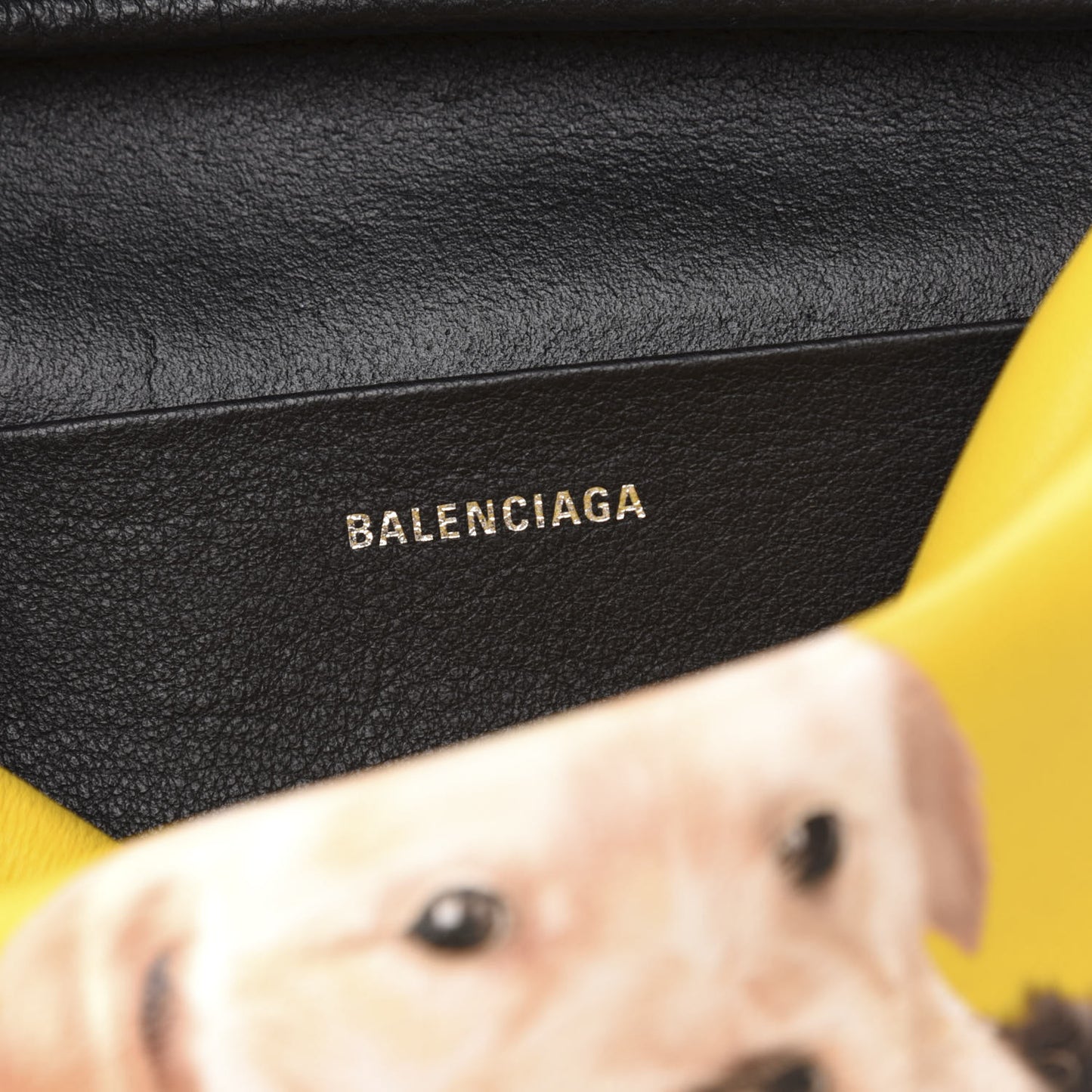 Calfskin Puppy and Kitten Everyday S Camera Bag Yellow