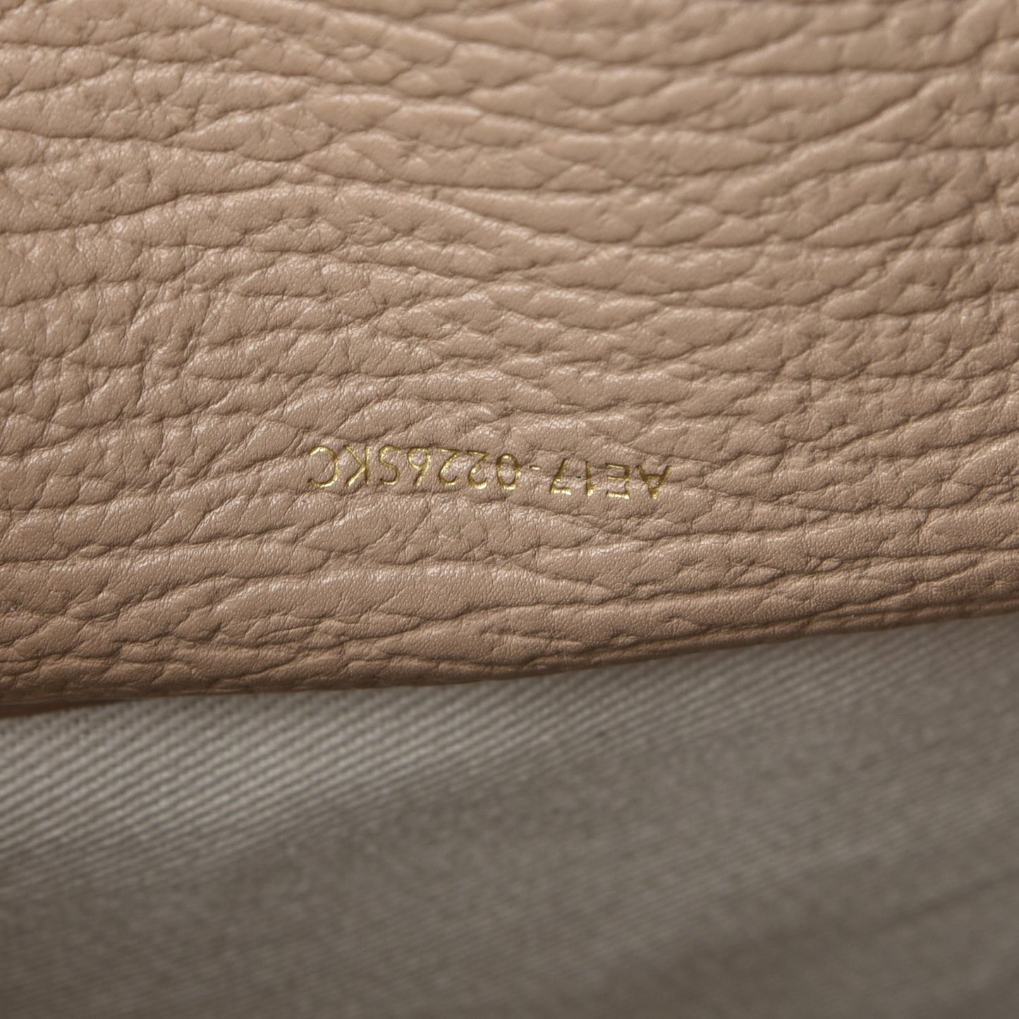 3.1 Textured Calfskin Mini Pashli Satchel Cashew