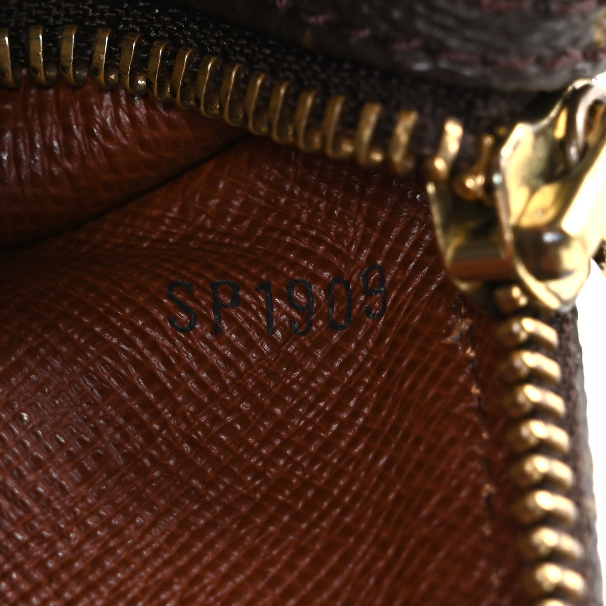 Monogram Papillon 30 with Companion
