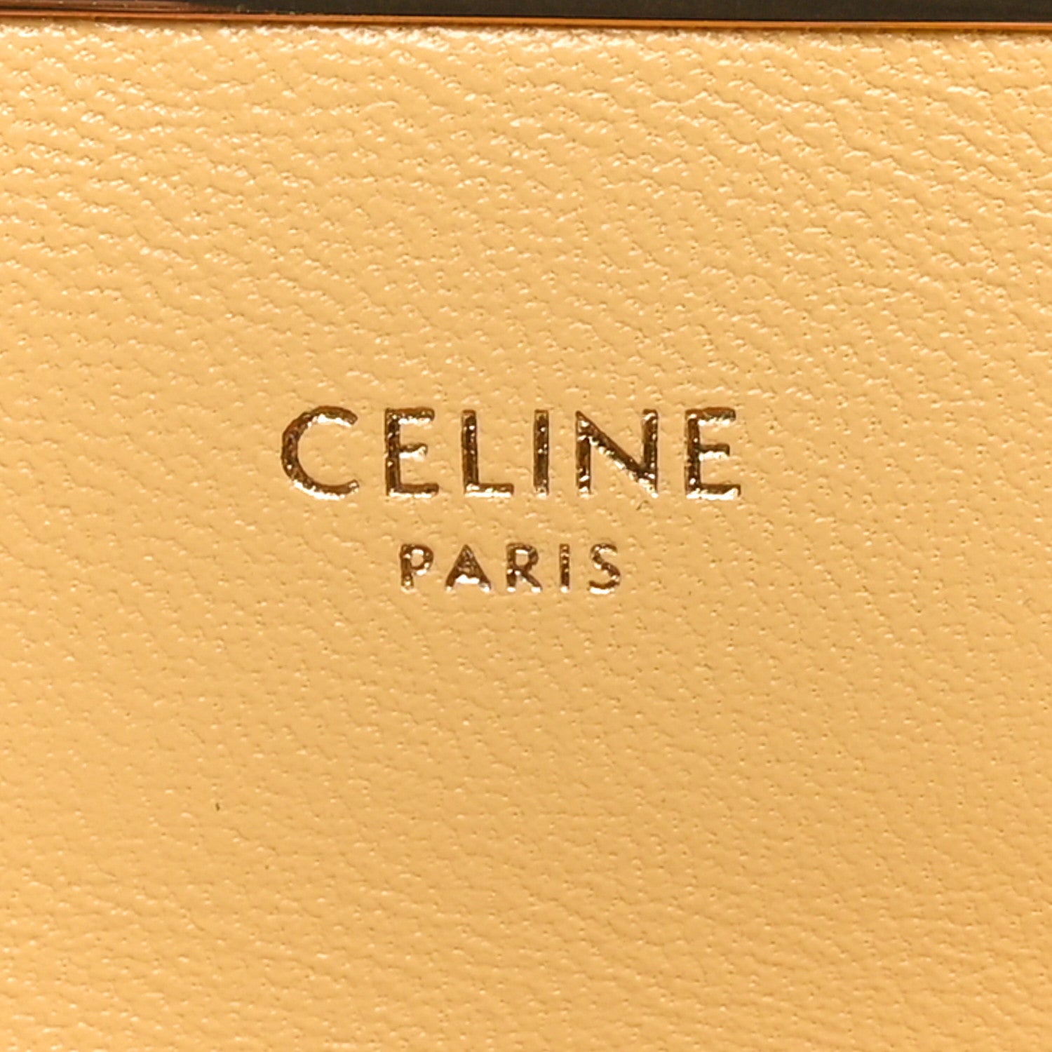 Celine Lizard Mini Triomphe Pollen 6 of 9