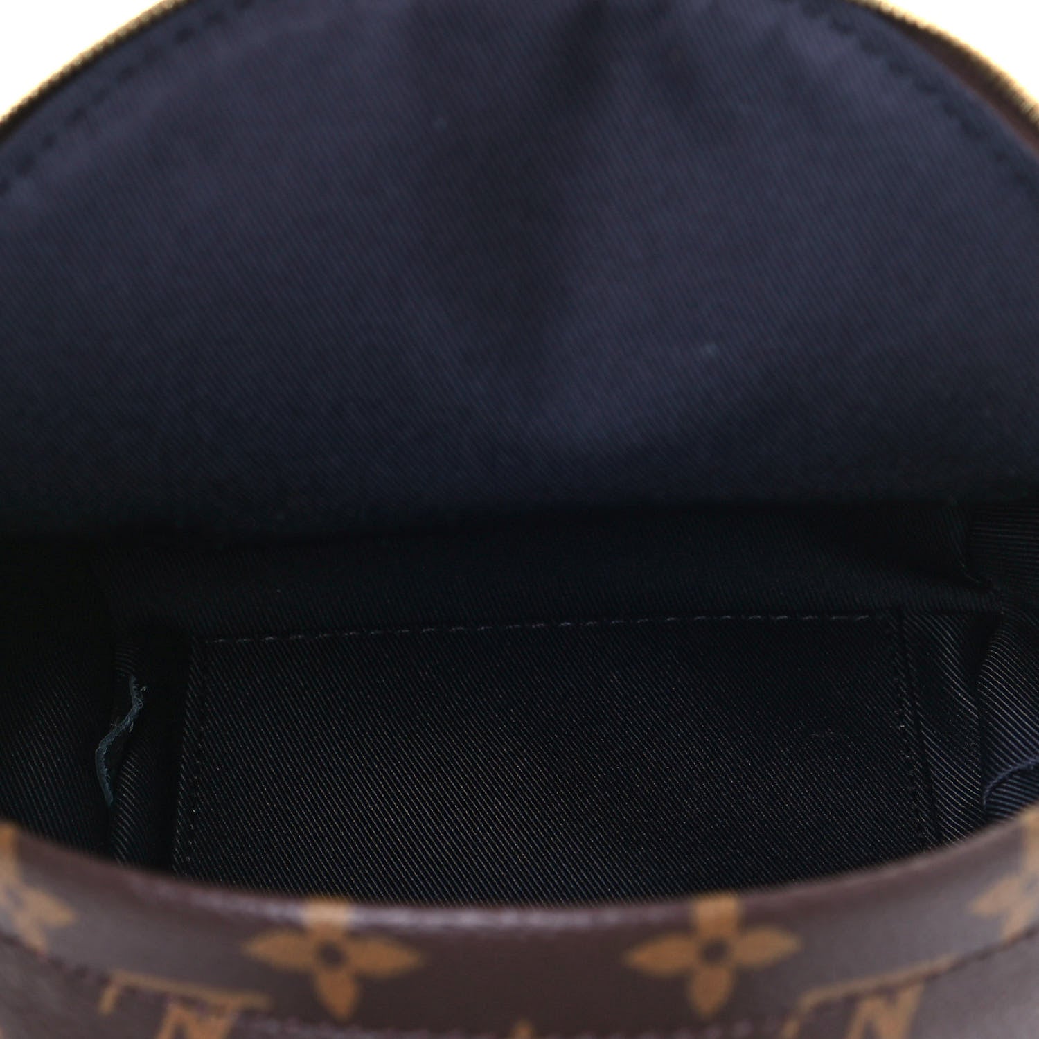 Louis Vuitton Monogram Palm Springs Backpack Mini 5 of 10