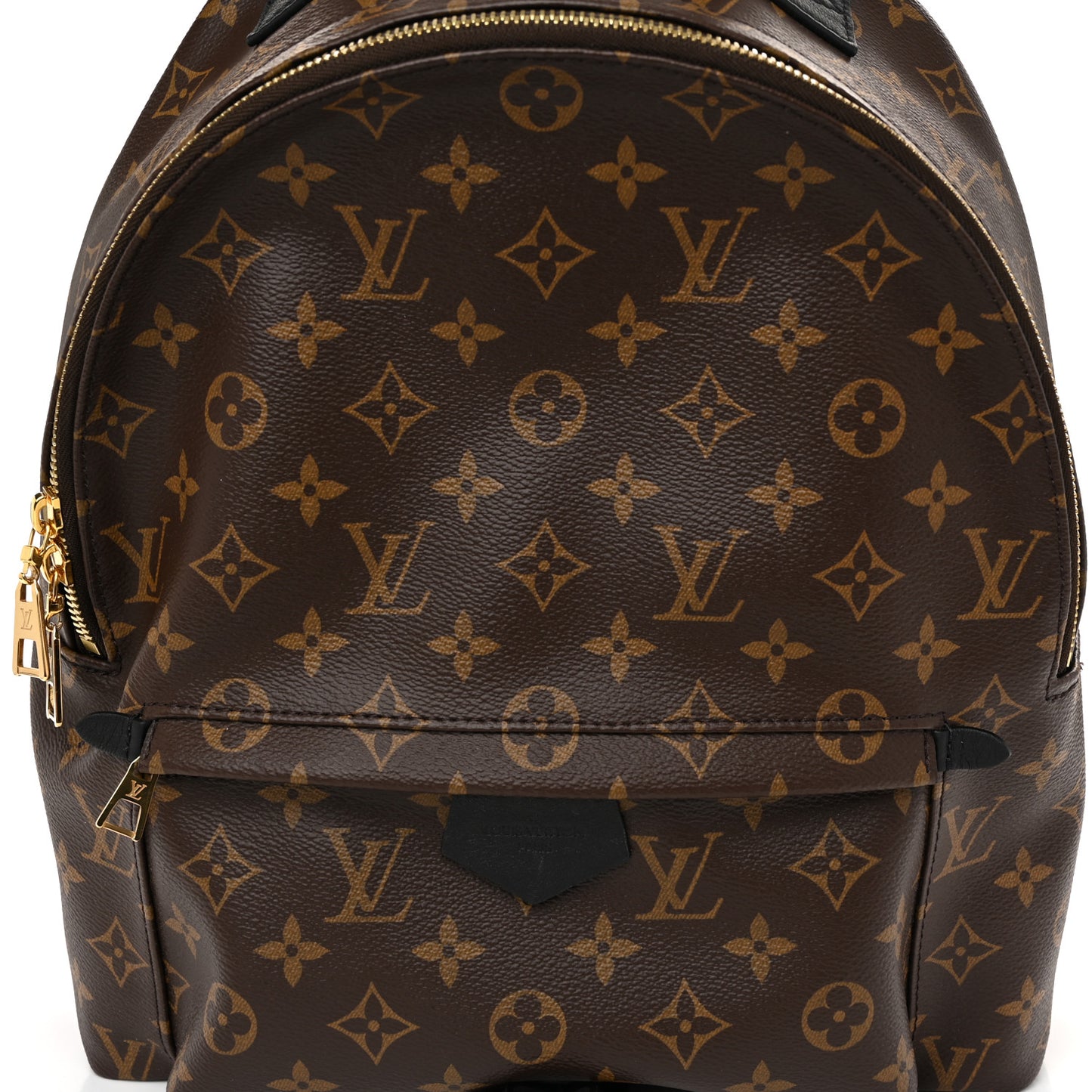 Monogram Palm Springs Backpack MM