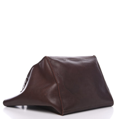 Celine Supple Calfskin Medium Big Bag Brown 3 of 16
