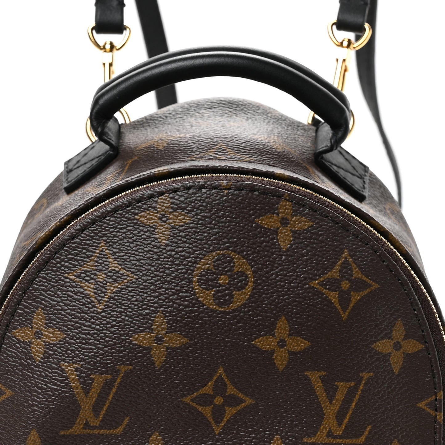 Monogram Palm Springs Backpack Mini
