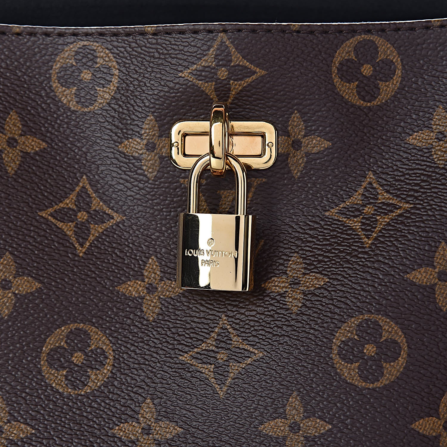 Louis Vuitton Monogram Gaia Black 8 of 11