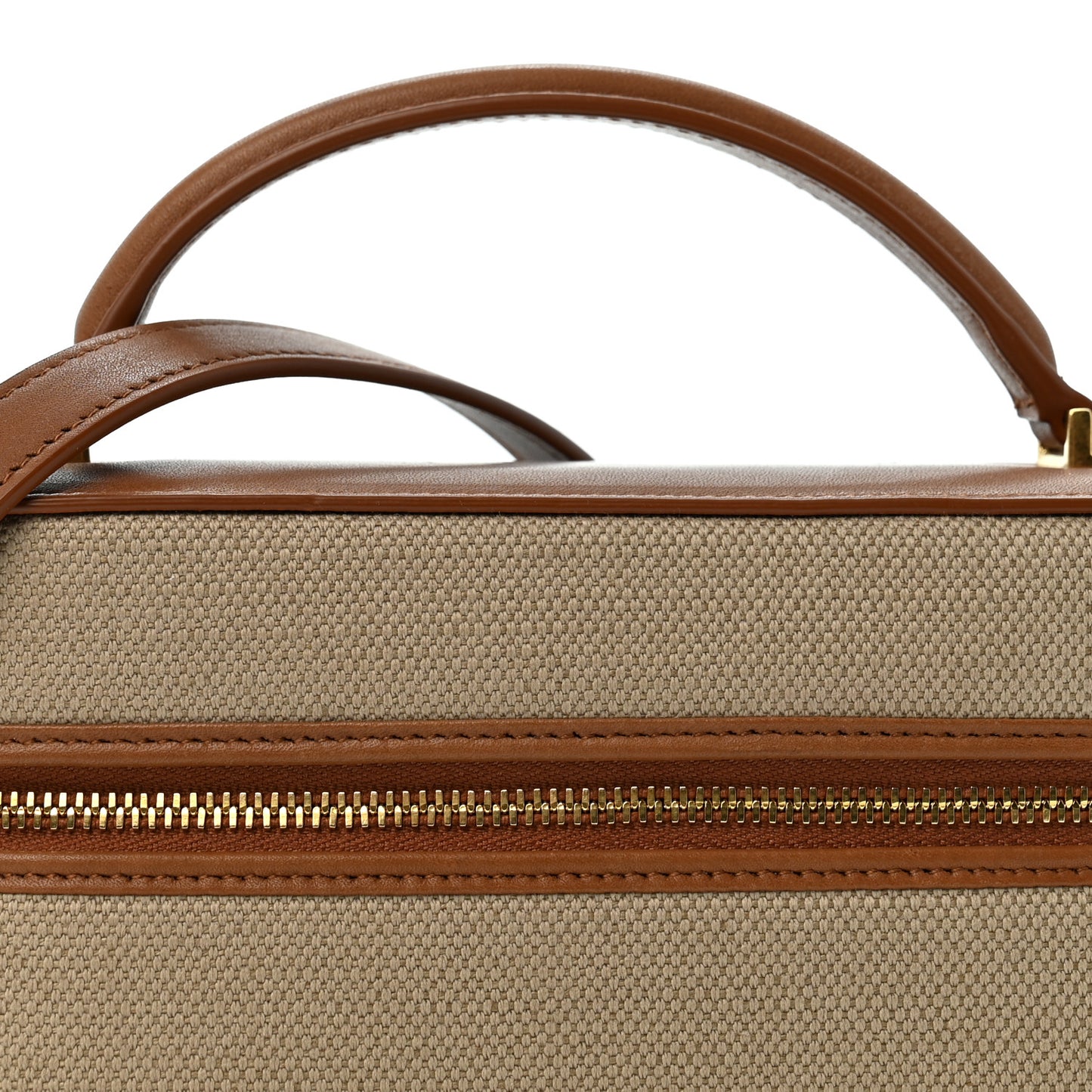 Canvas Calfskin Mini Gaby Vanity Case Desert Dust Brick