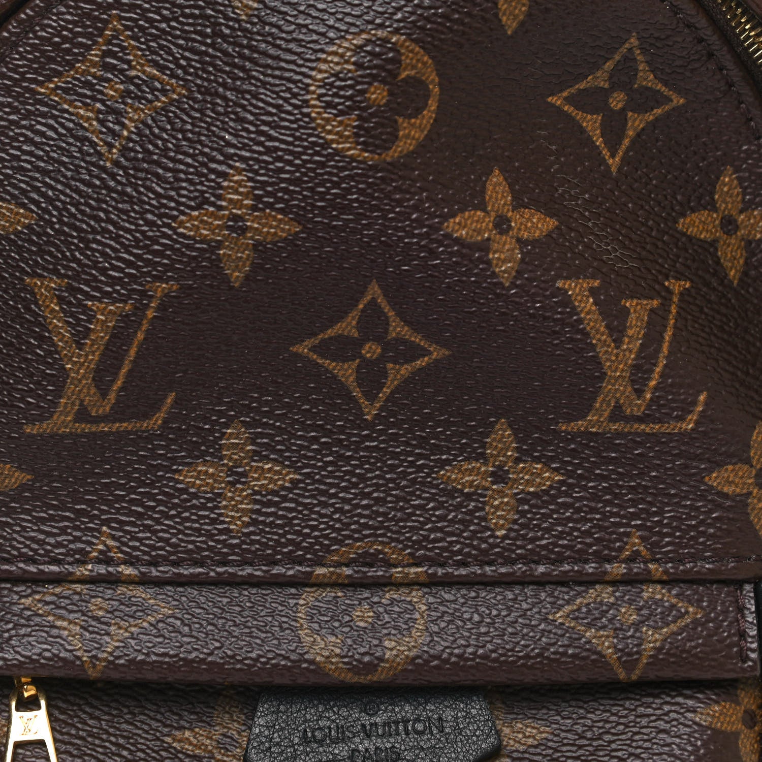 Louis Vuitton Monogram Palm Springs Backpack Mini 7 of 11