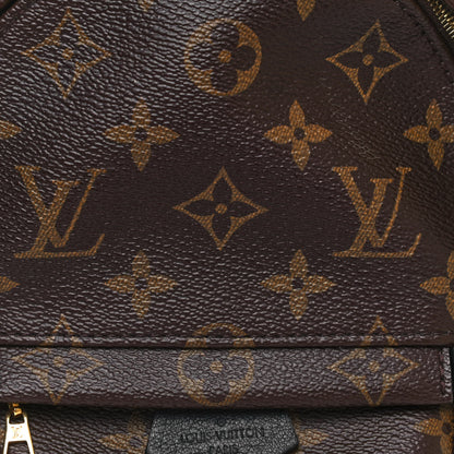 Louis Vuitton Monogram Palm Springs Backpack Mini 7 of 11