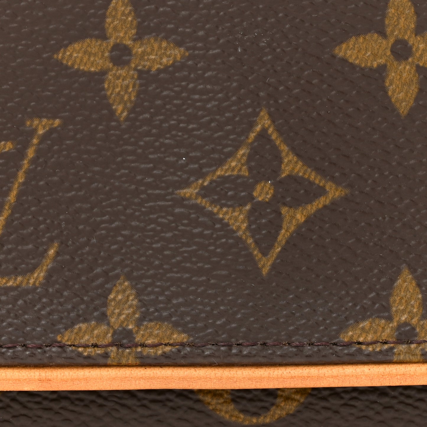 Monogram Pochette Twin PM