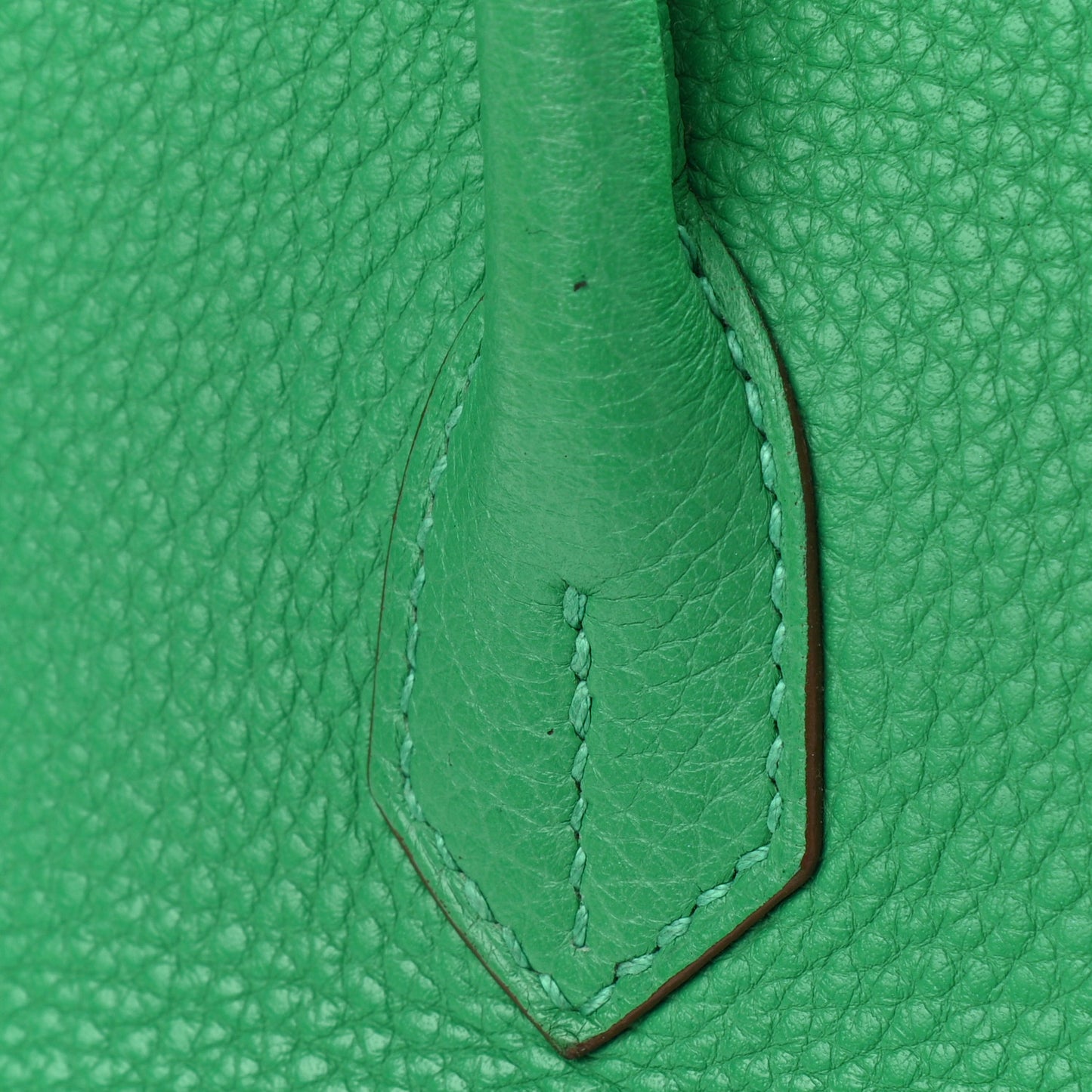 Taurillon Clemence Birkin 35 Menthe