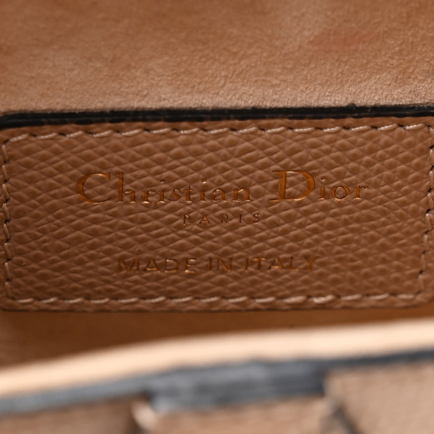 Grained Calfskin Mini Saddle Bag Fard
