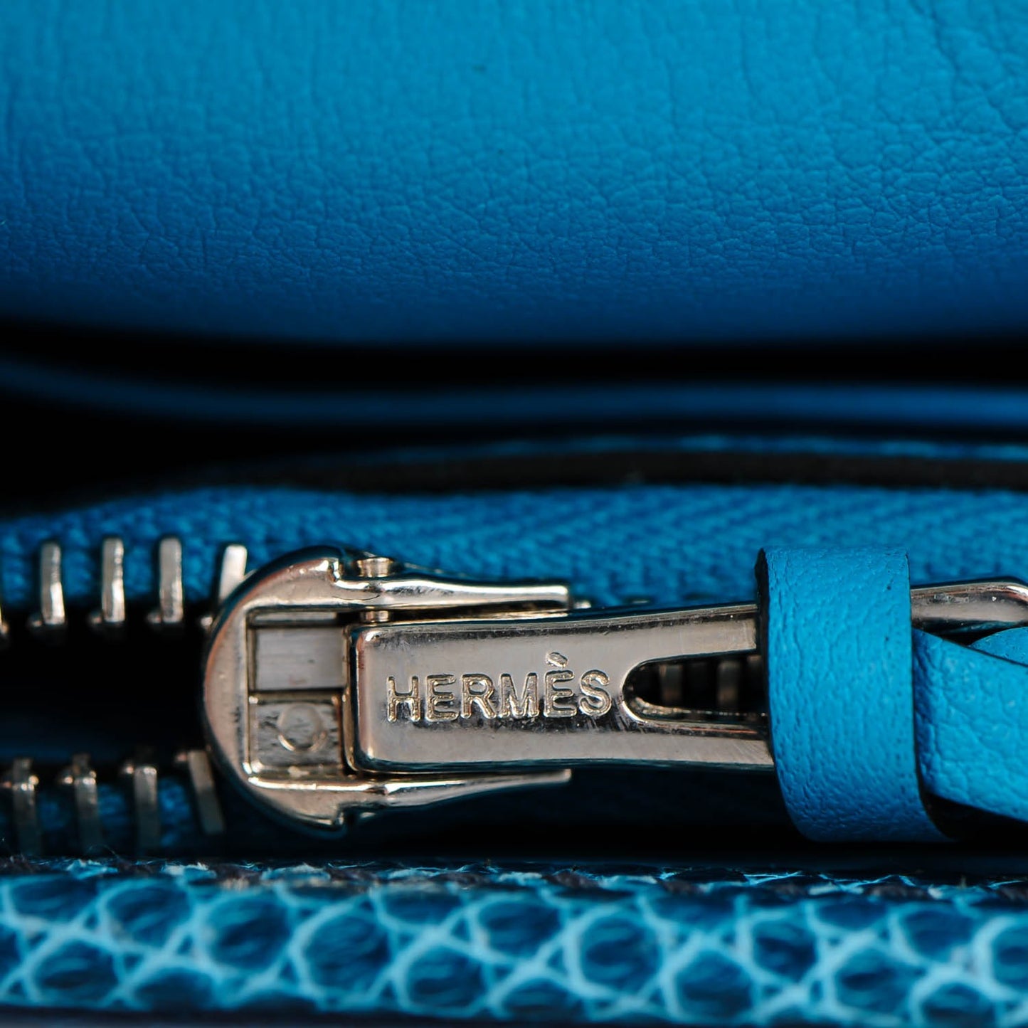Swift Lizard Niloticus Jige Duo Turquoise Bleu Petrol