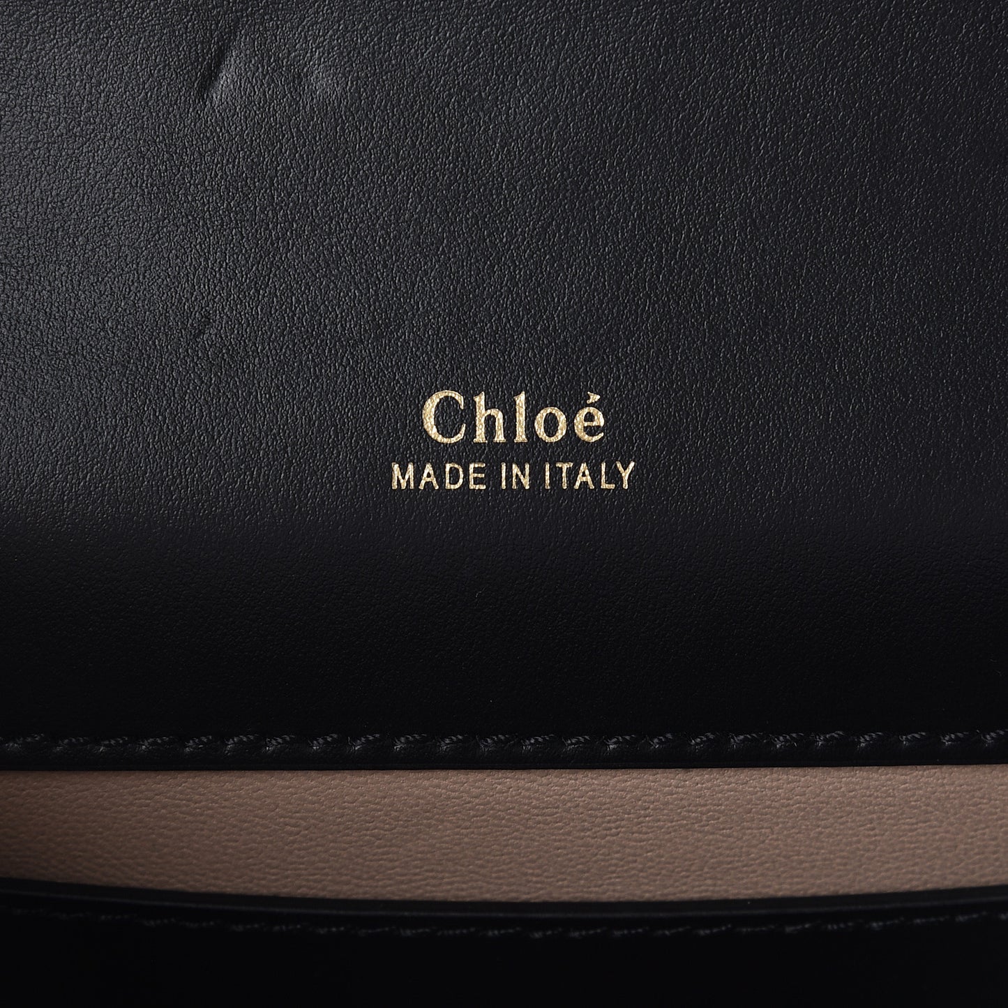 Shiny Goatskin Calfskin Aby Chain Shoulder Bag Black
