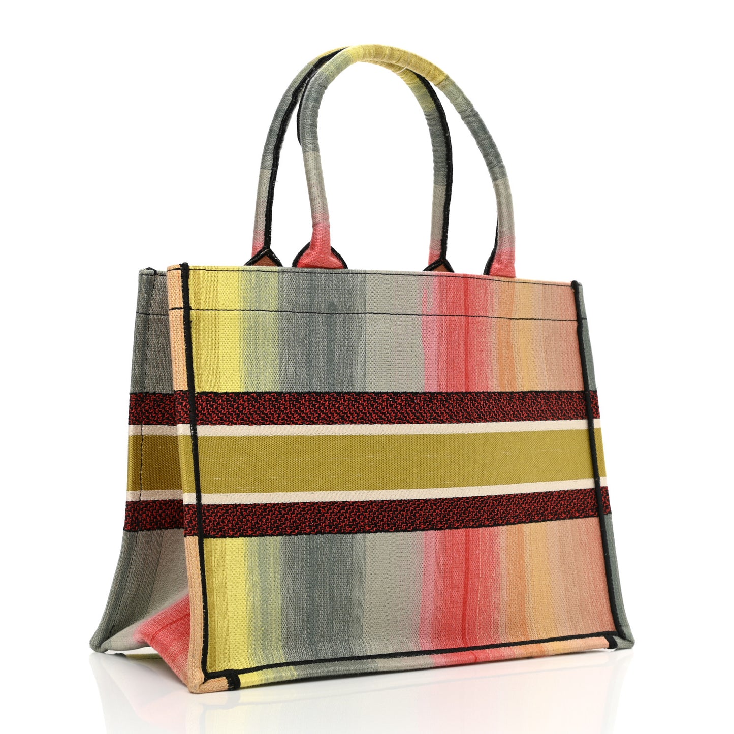 Canvas Embroidered Medium Dioraura Book Tote Multicolor