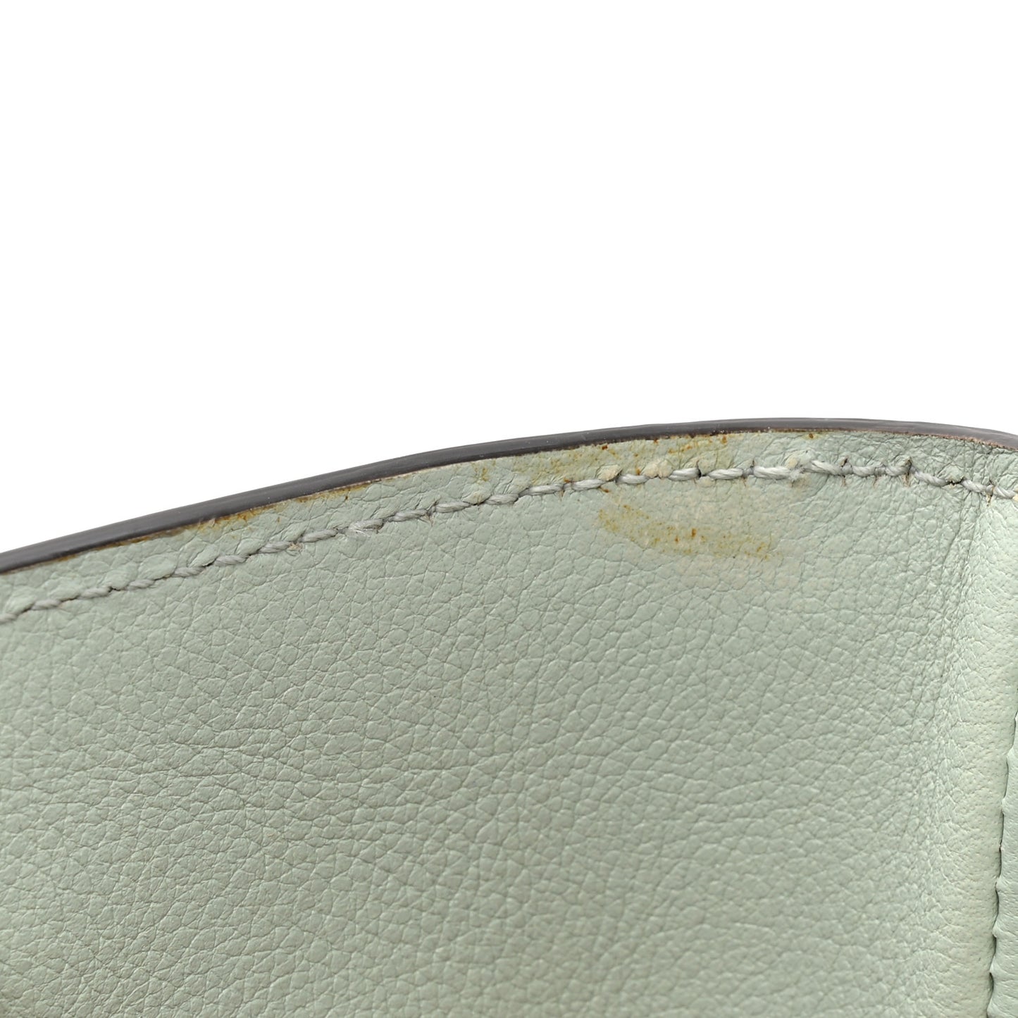 Softy Wonka Textured Dollar Calfskin Mini Diana Tote Salvy Green
