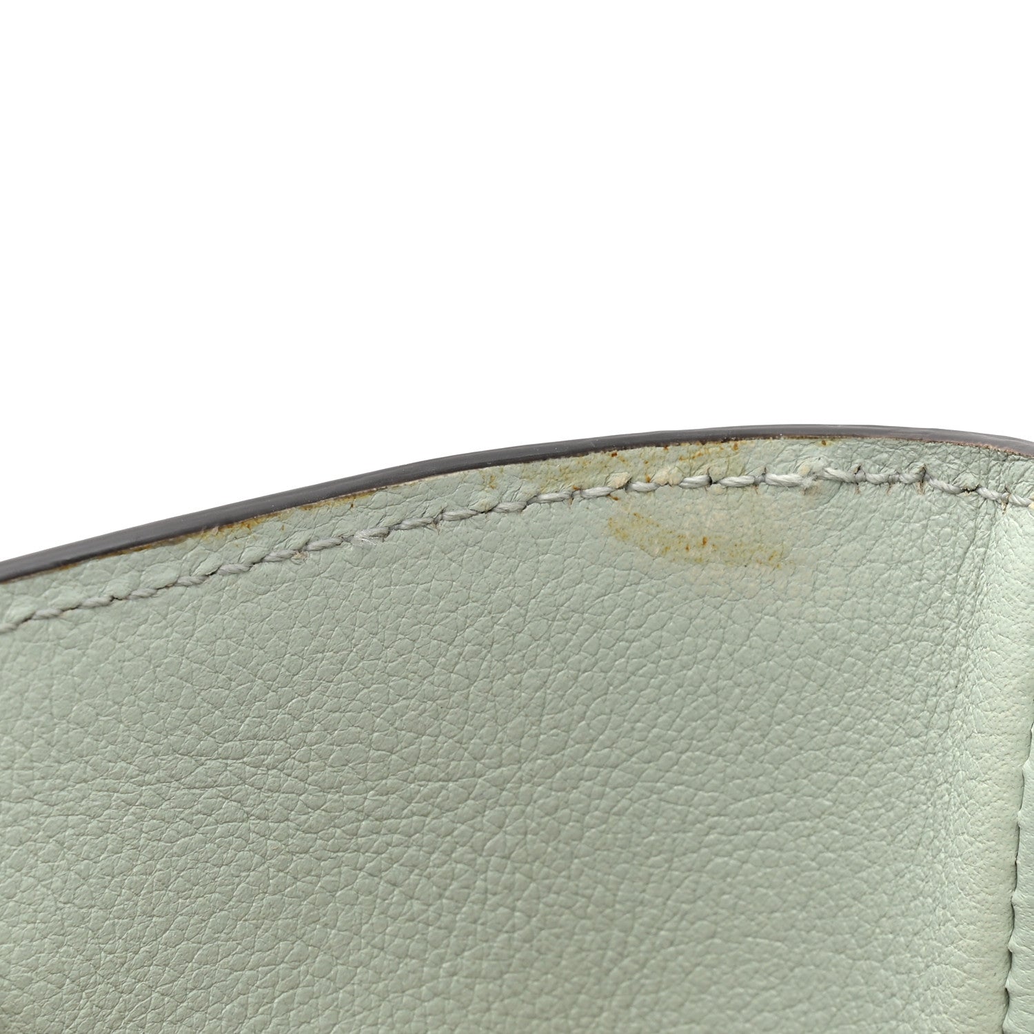 Gucci Softy Wonka Textured Dollar Calfskin Mini Diana Tote Salvy Green 11 of 12