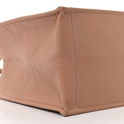 Christian Dior Calfskin Embossed Medium Book Tote Rose de Vents 9 of 11