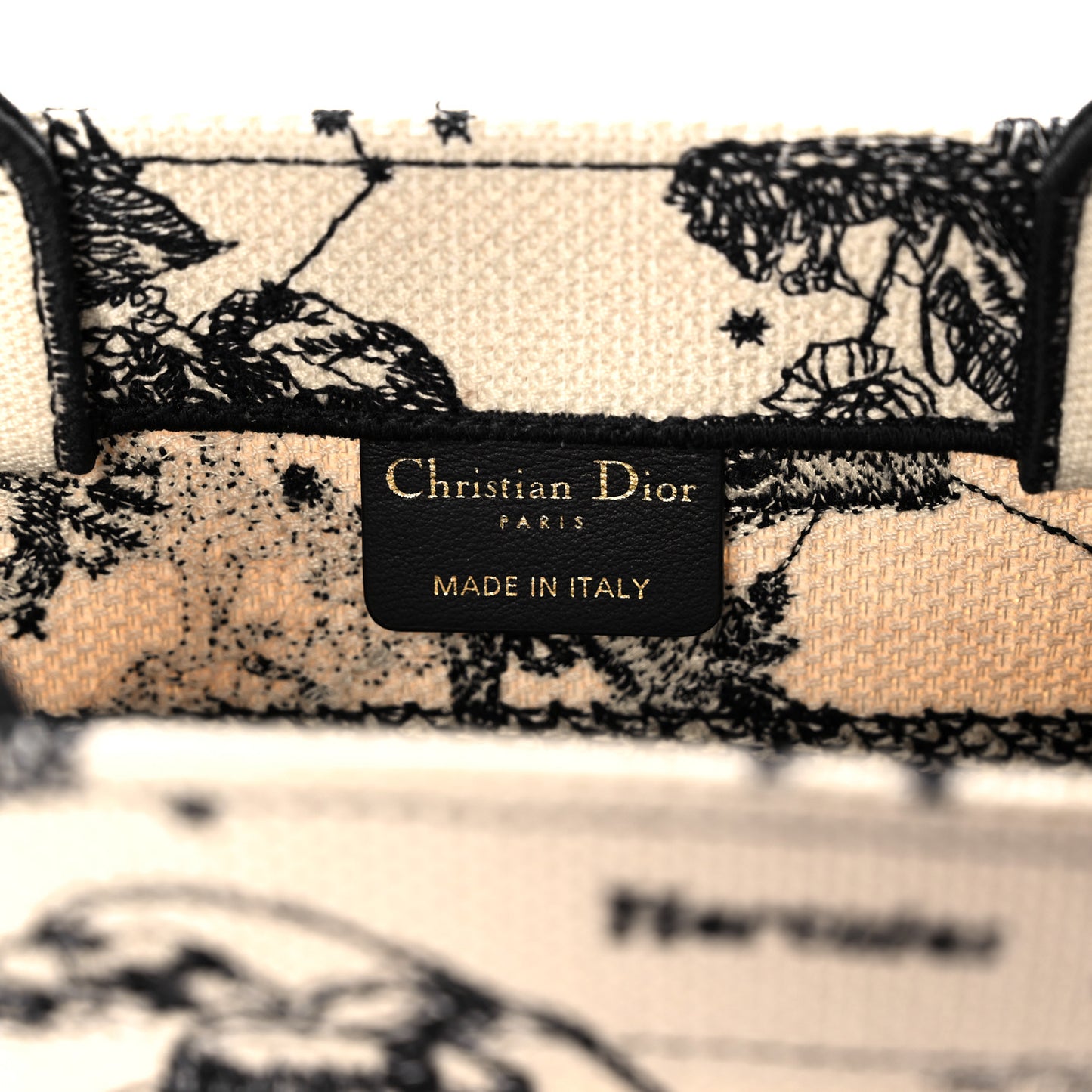 Canvas Embroidered Small Zodiac Toile De Jouy Book Tote Latte