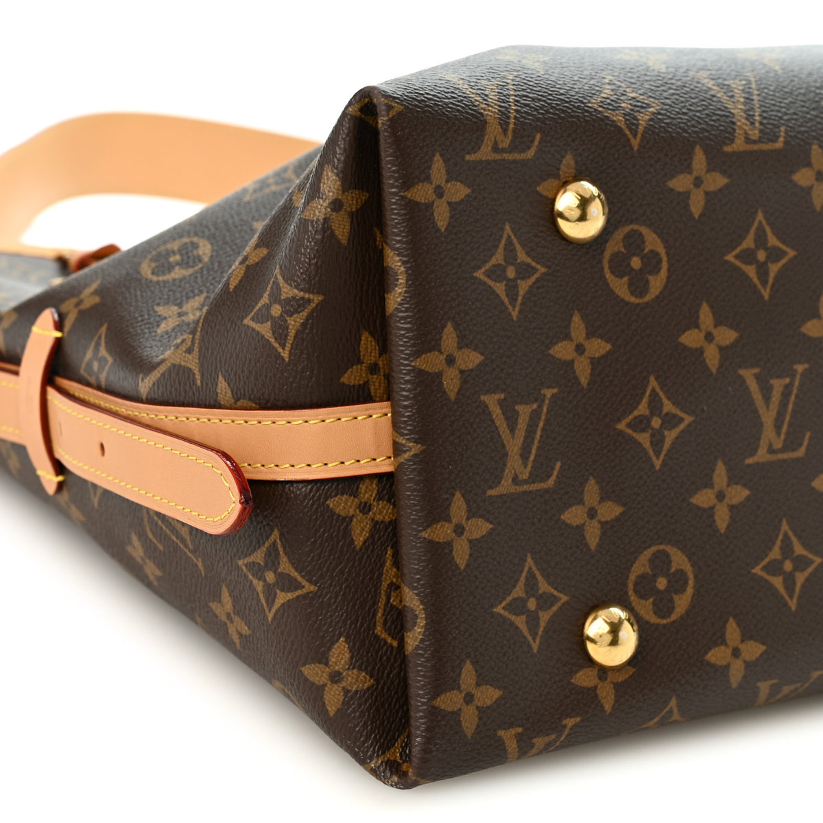 Monogram Carryall MM
