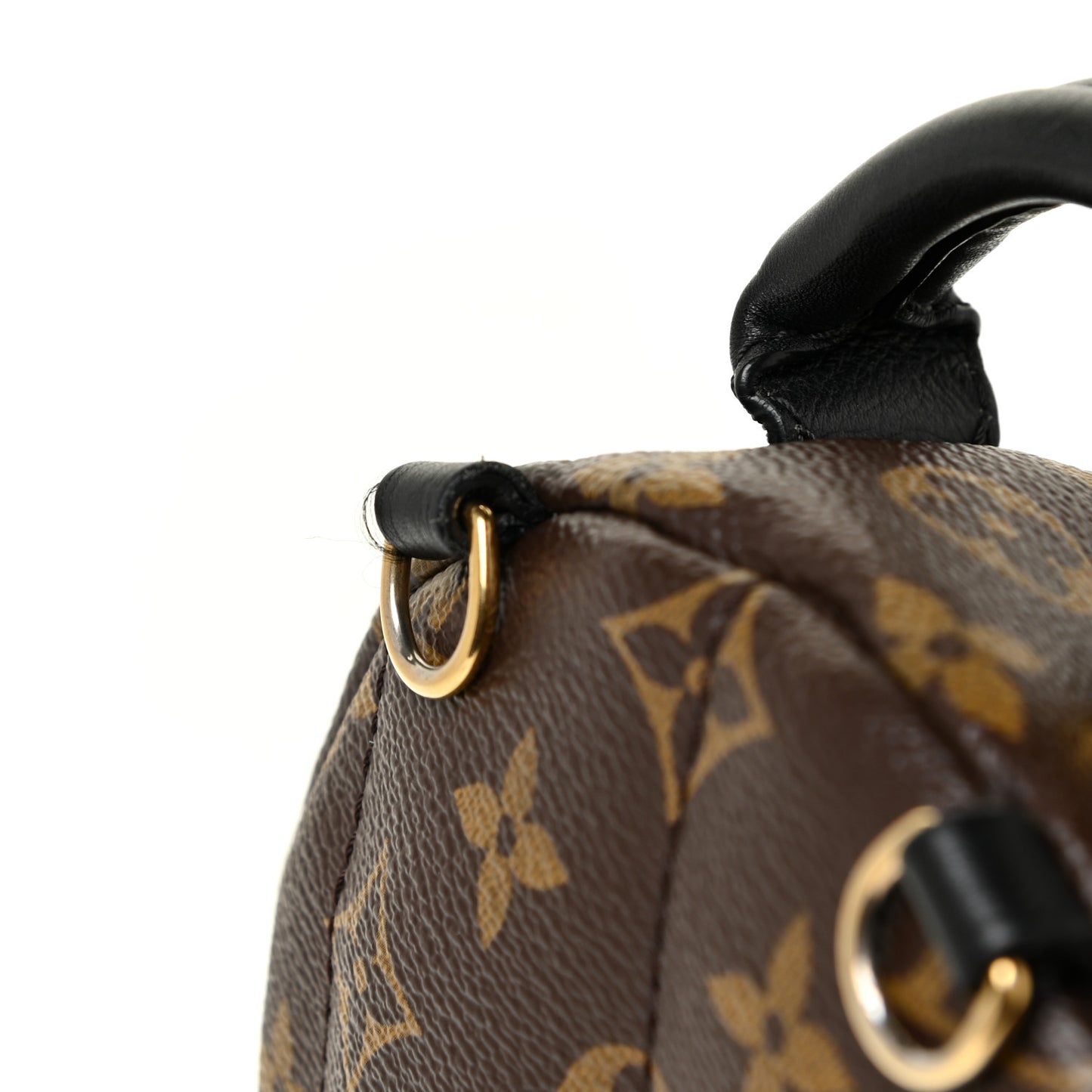 Monogram Palm Springs Backpack Mini