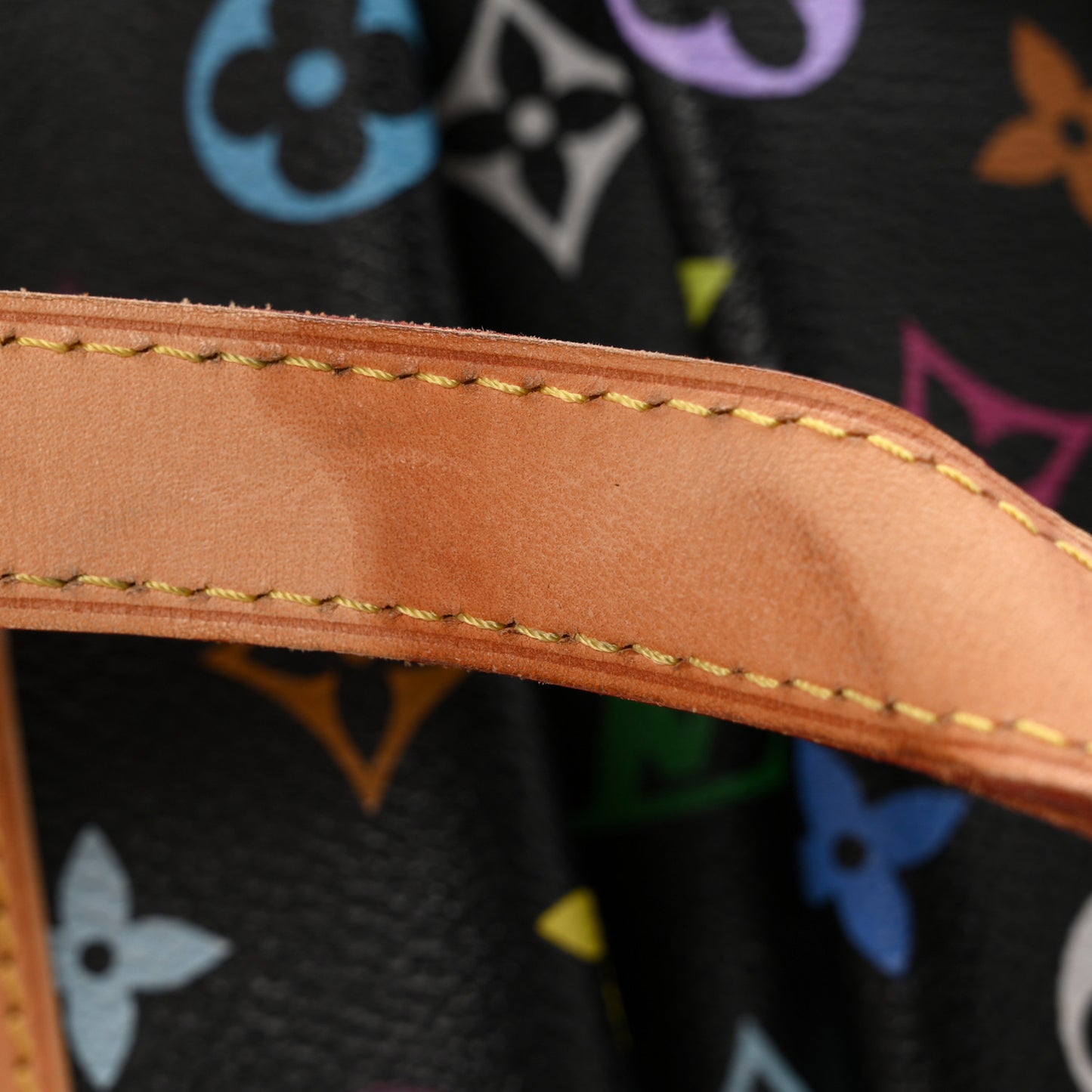 Monogram Multicolor Courtney GM Black