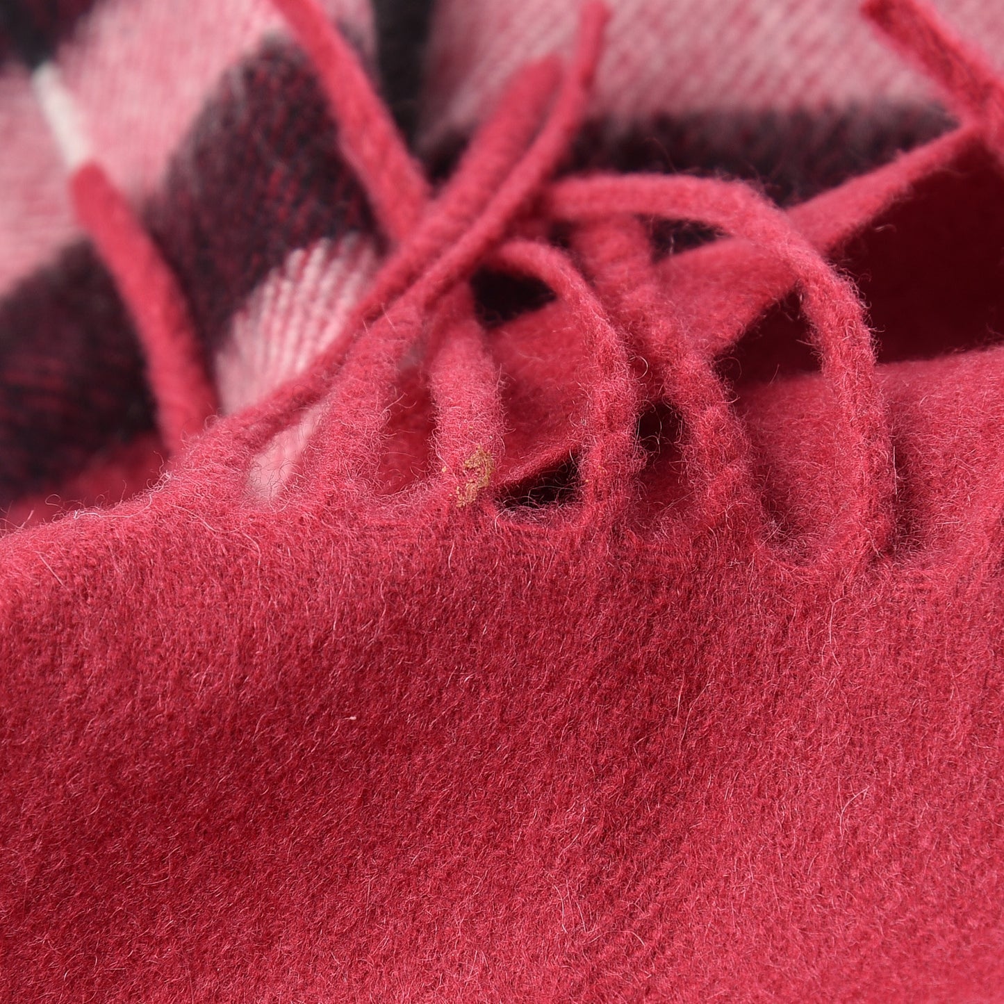 Cashmere Giant Check Fringe Scarf Fuchsia