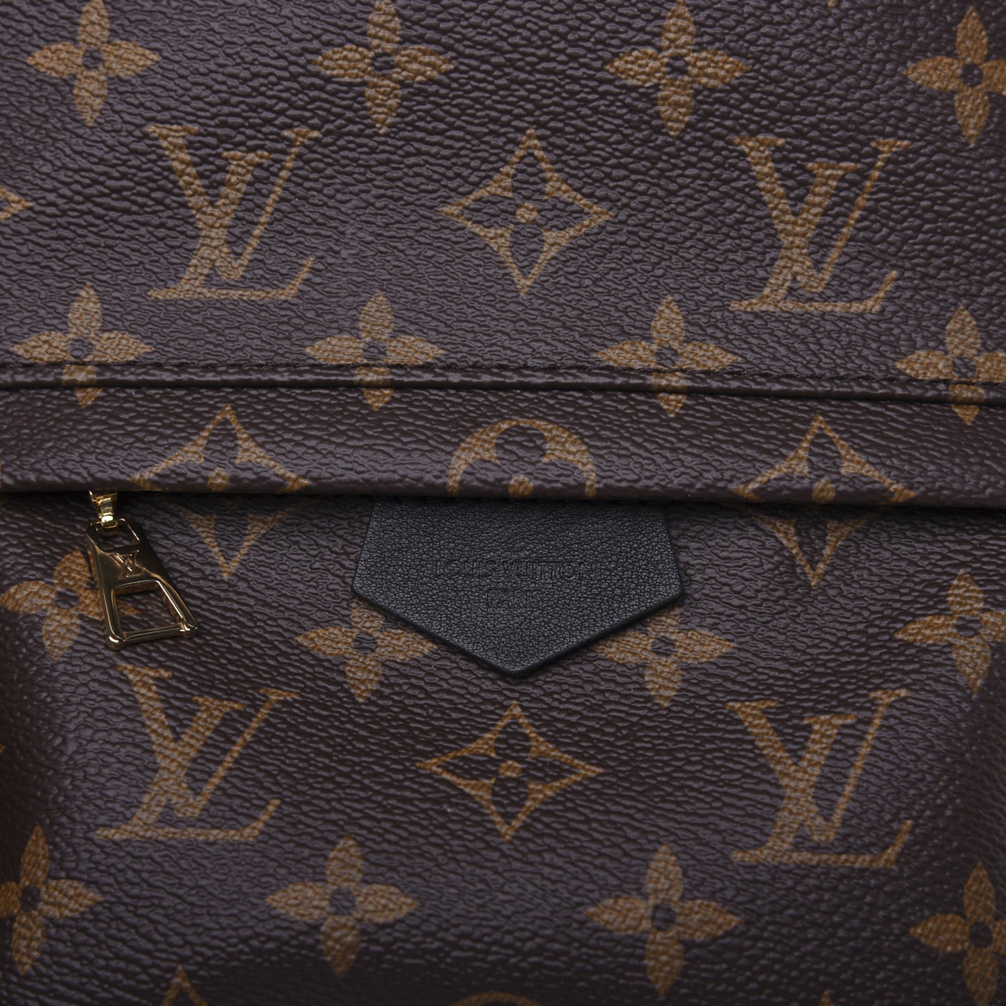 Monogram Palm Springs Backpack PM