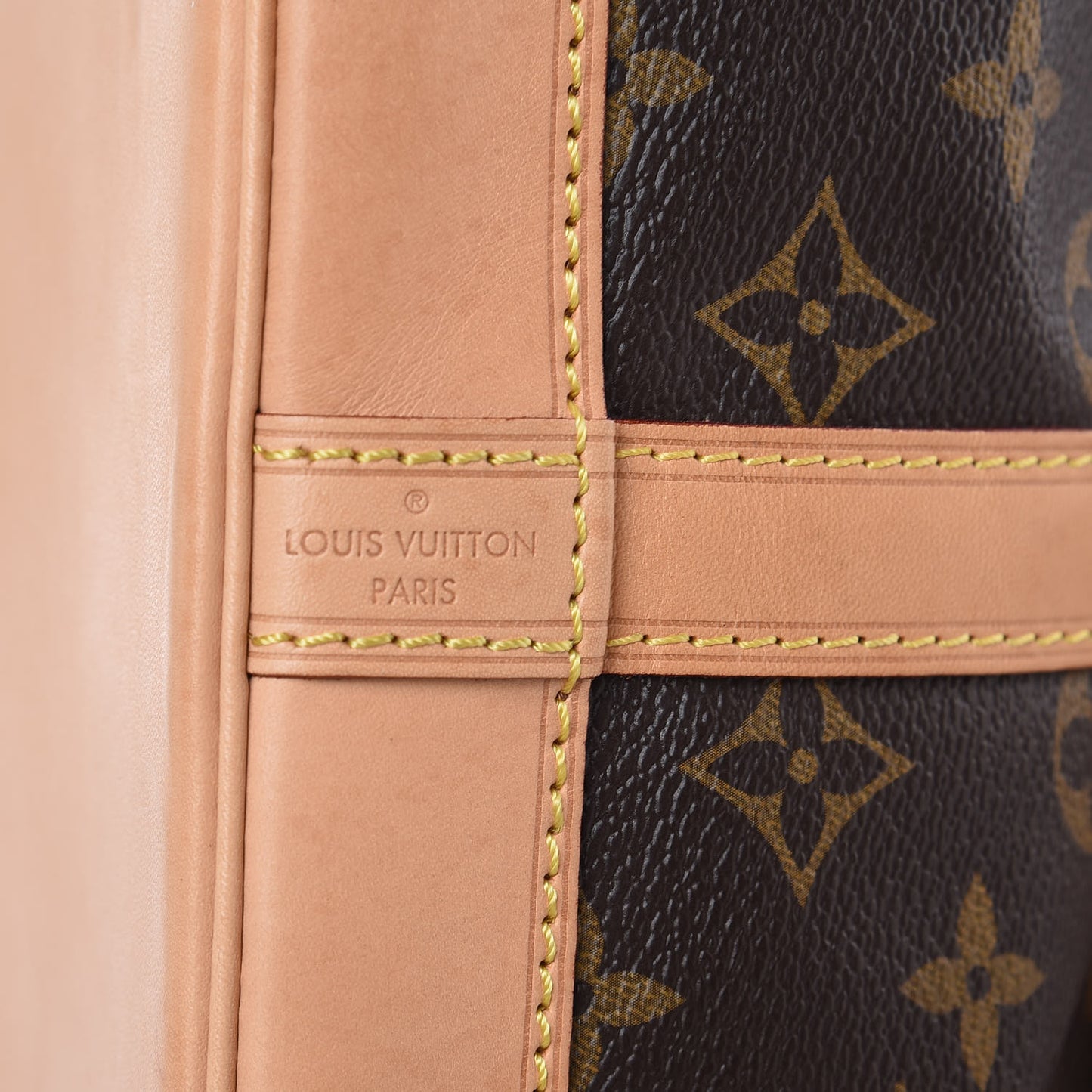 Monogram Petit Noe NM