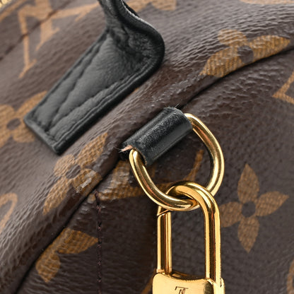 Louis Vuitton Monogram Palm Springs Backpack Mini 12 of 14
