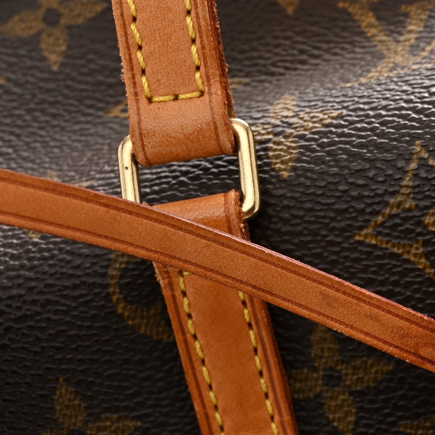 Monogram Papillon 30 with Companion