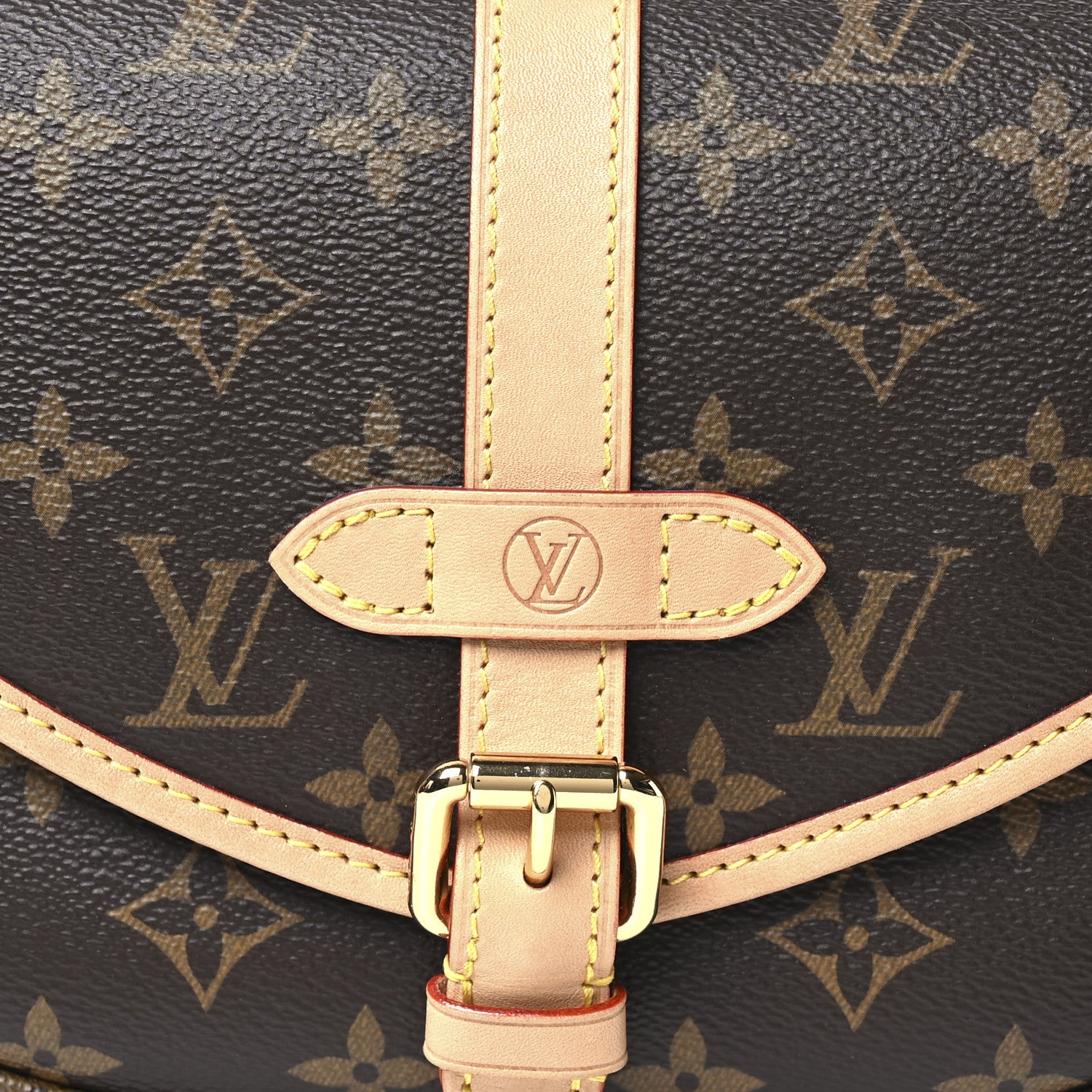 Louis Vuitton Monogram Saumur BB 7 of 9