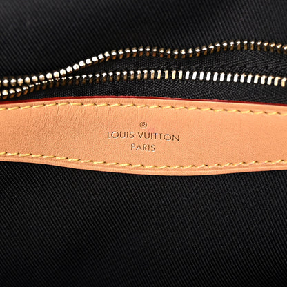 Louis Vuitton Monogram Diane 6 of 9