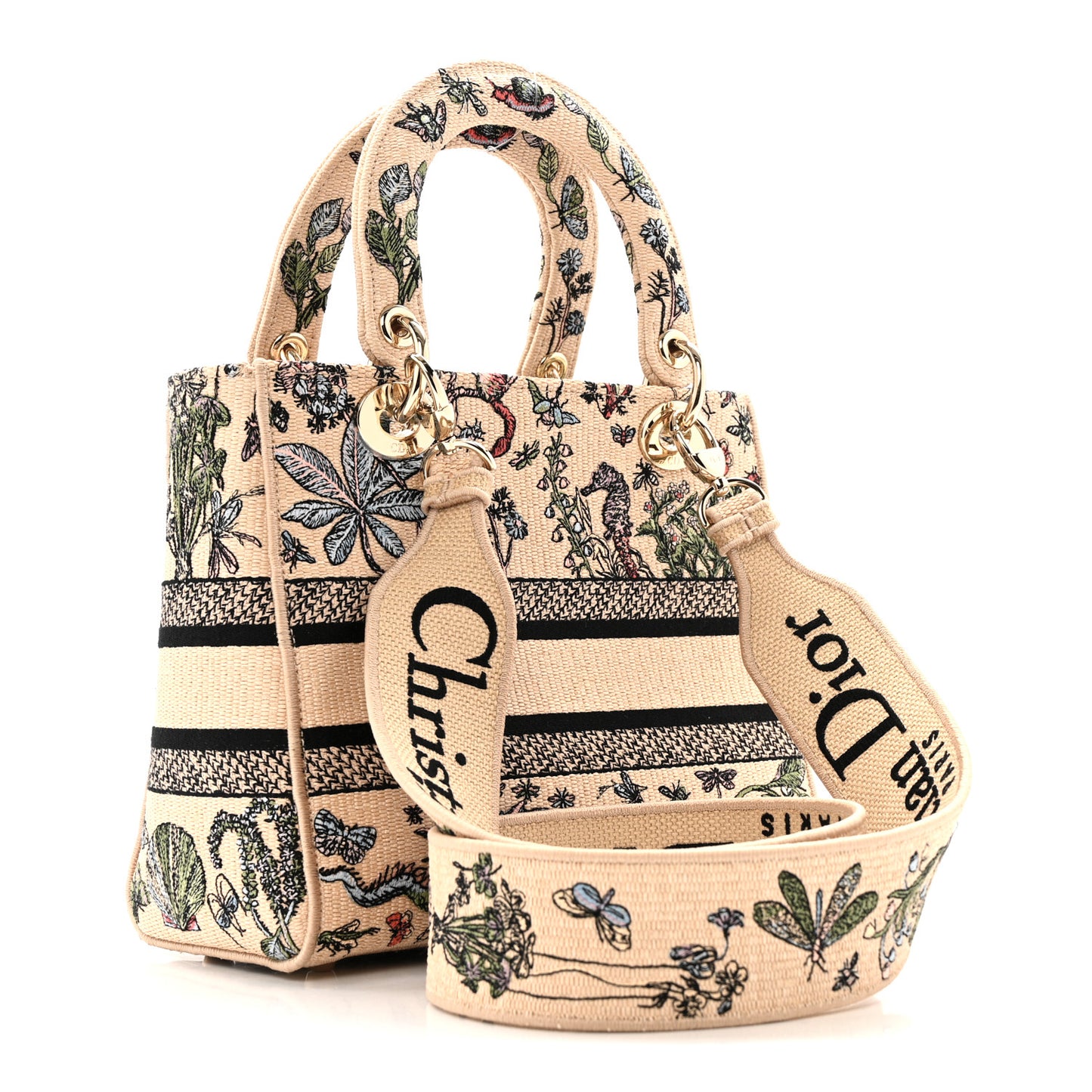 Canvas Cabinet De Curiosites Embroidered Medium Lady D-Lite Beige Multicolor