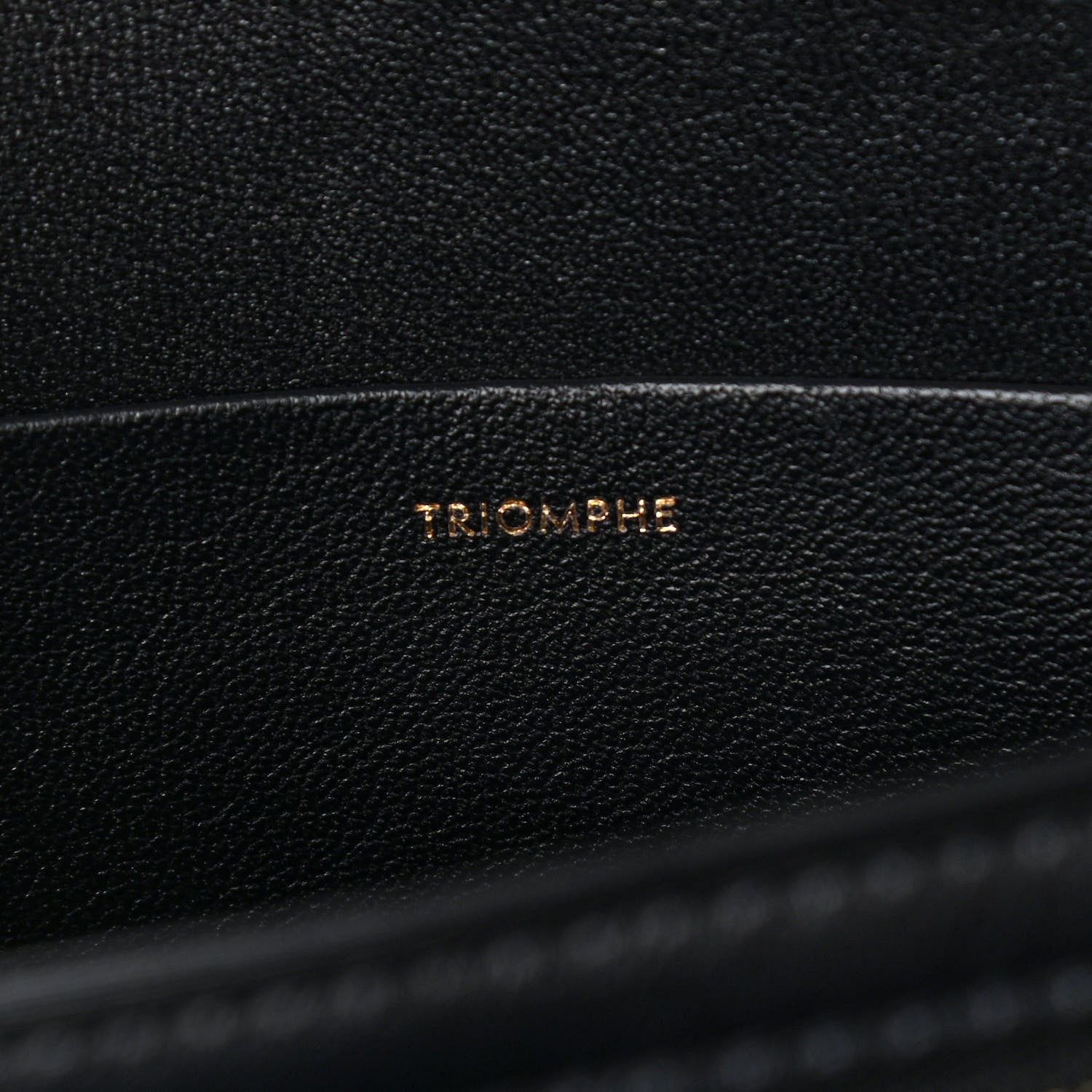 Celine Shiny Calfskin Large Triomphe Black 7 of 18