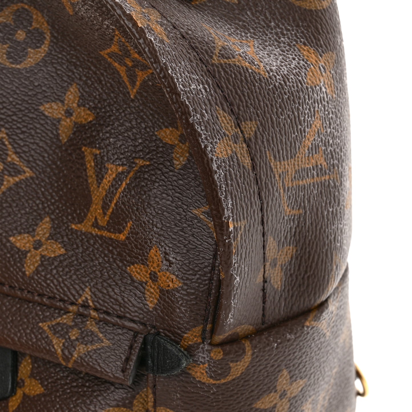 Monogram Palm Springs Backpack Mini