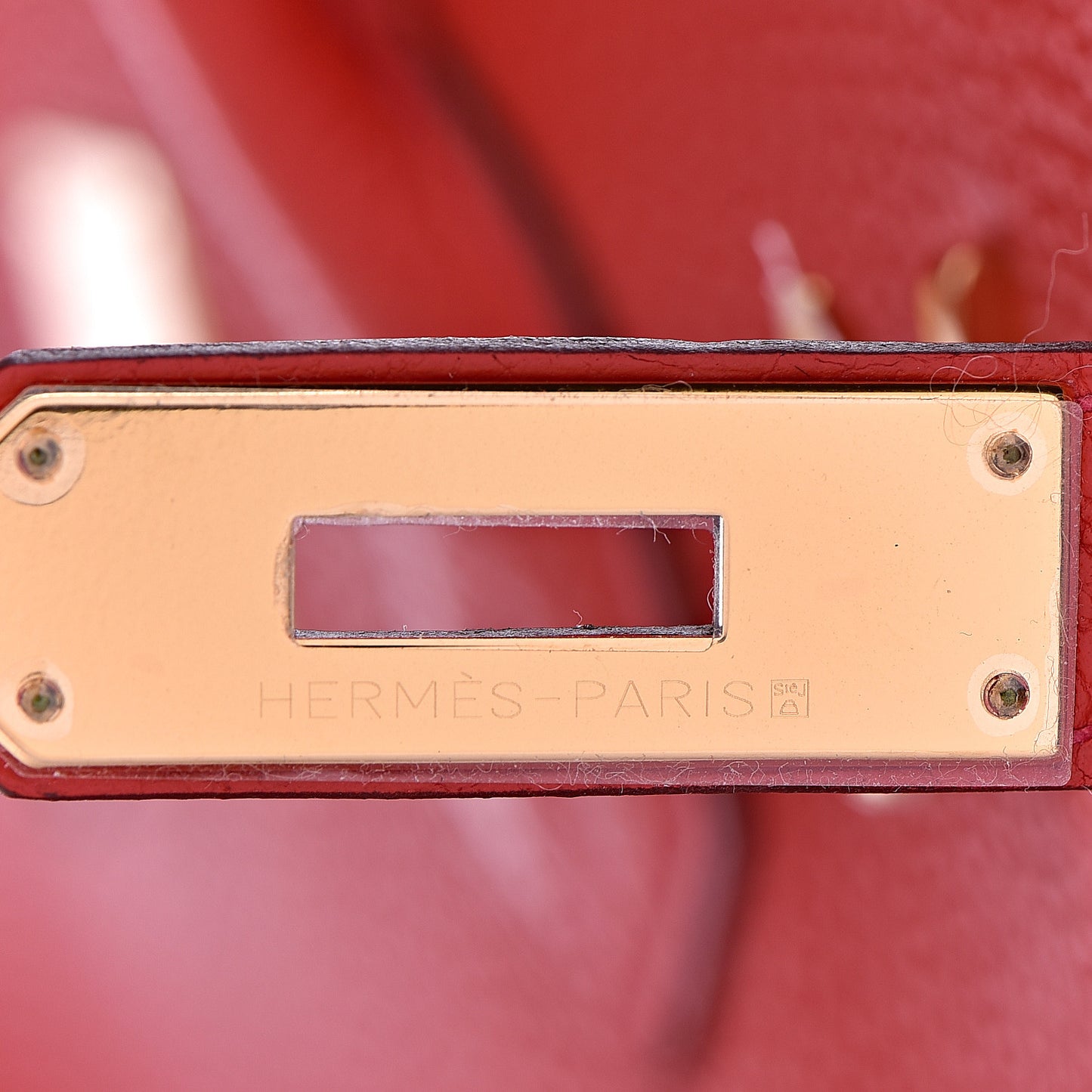 Togo Birkin 40 Geranium