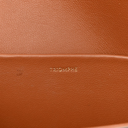 Celine Canvas Calfskin Triomphe Shoulder Bag Tan 6 of 10