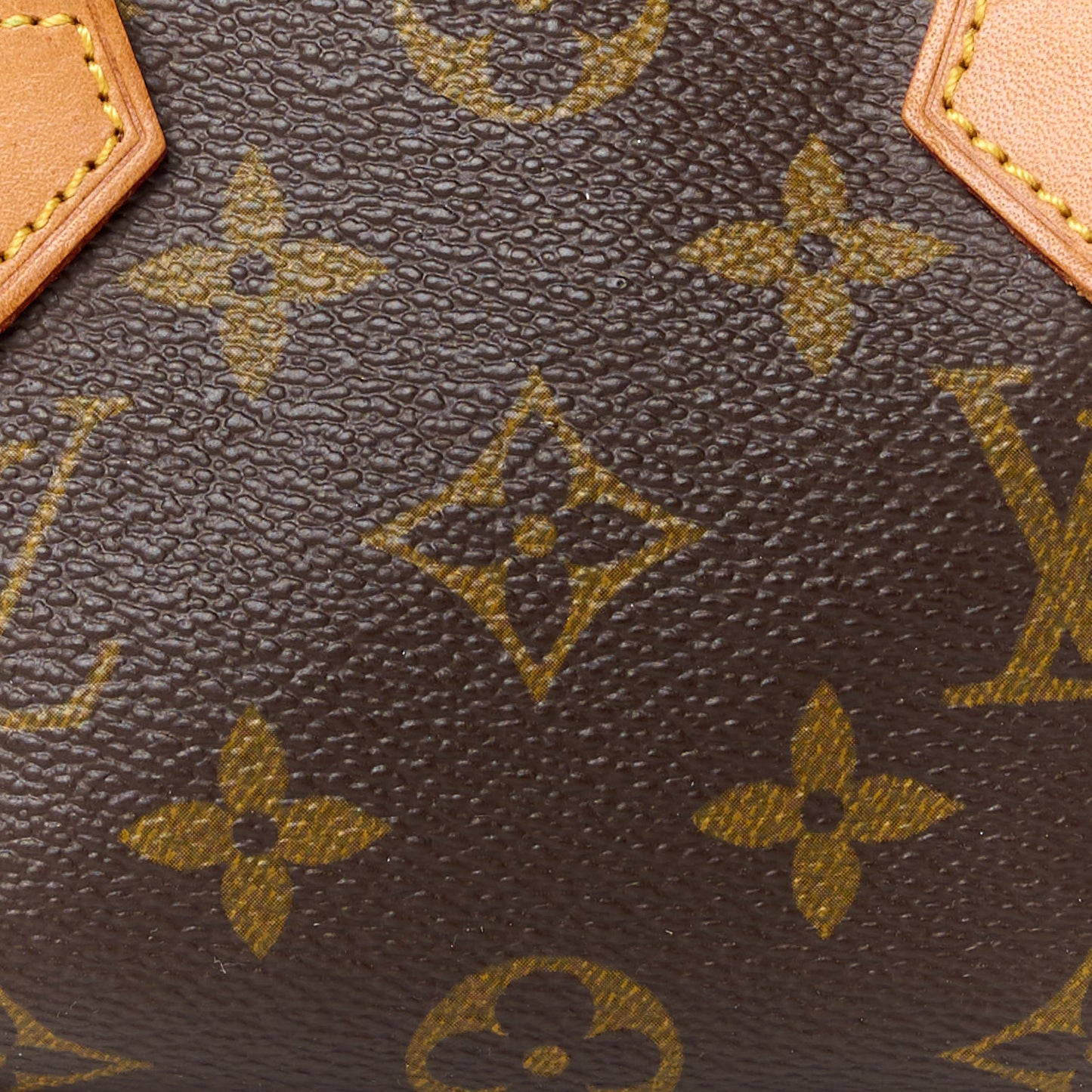 Monogram Mini Sac HL Speedy