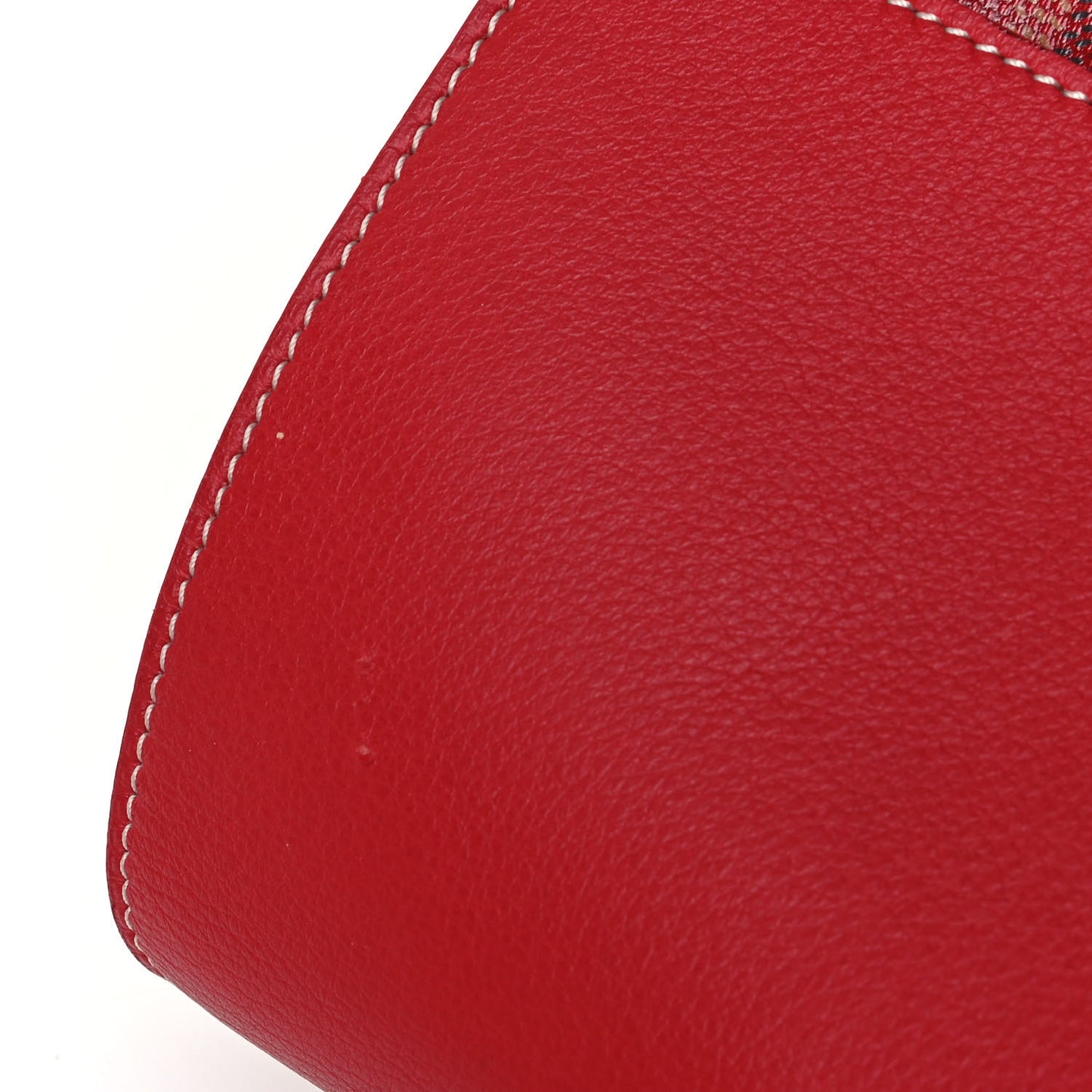 Goyardine Calfskin Mini Alpin Backpack Red