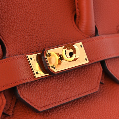 Hermes Togo BIRKIN 35 Terre Battue 11 of 11