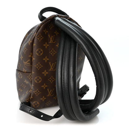 Louis Vuitton Monogram Palm Springs Backpack PM 3 of 10