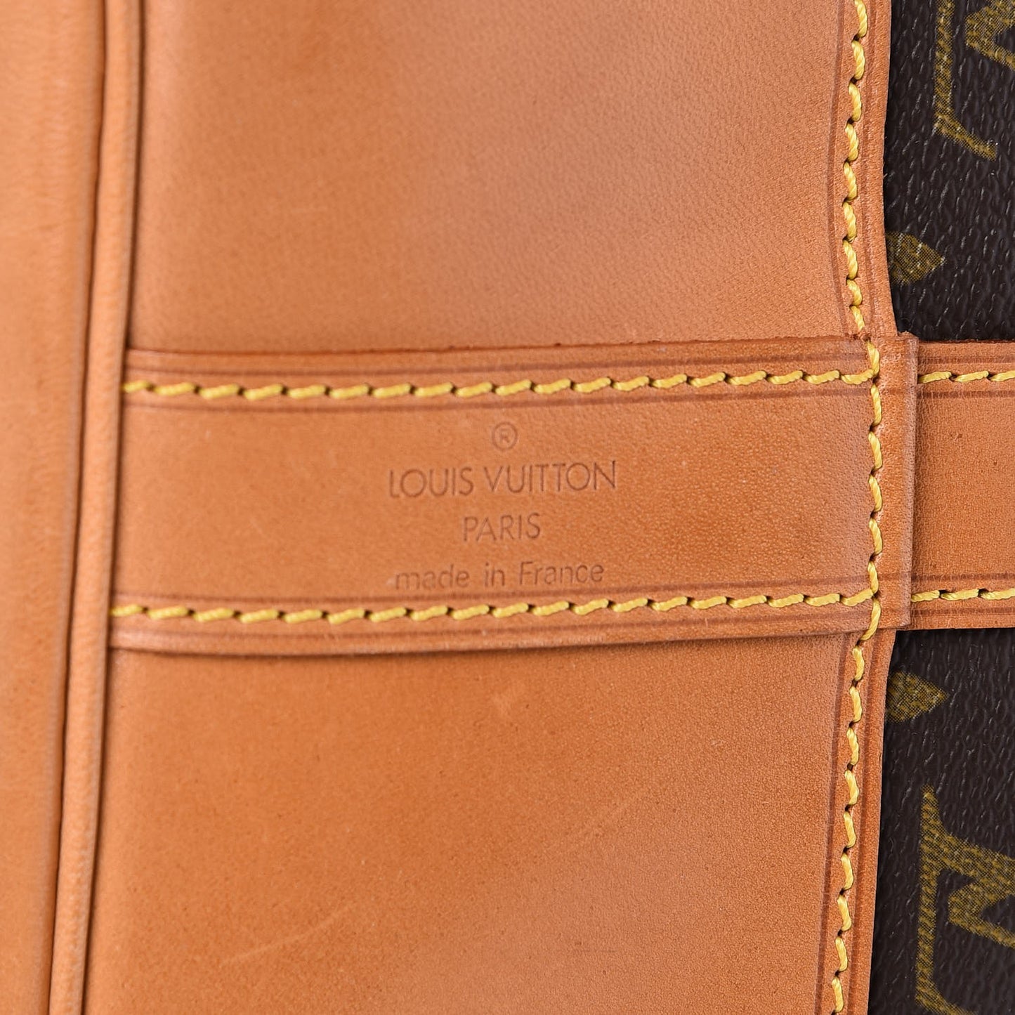 Monogram Randonnee GM Backpack